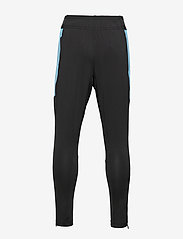 puma ftblnxt pant