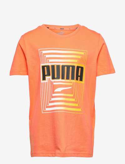 Alpha Graphic Tee B - ensfarvede kortærmede t-shirts - deep apricot