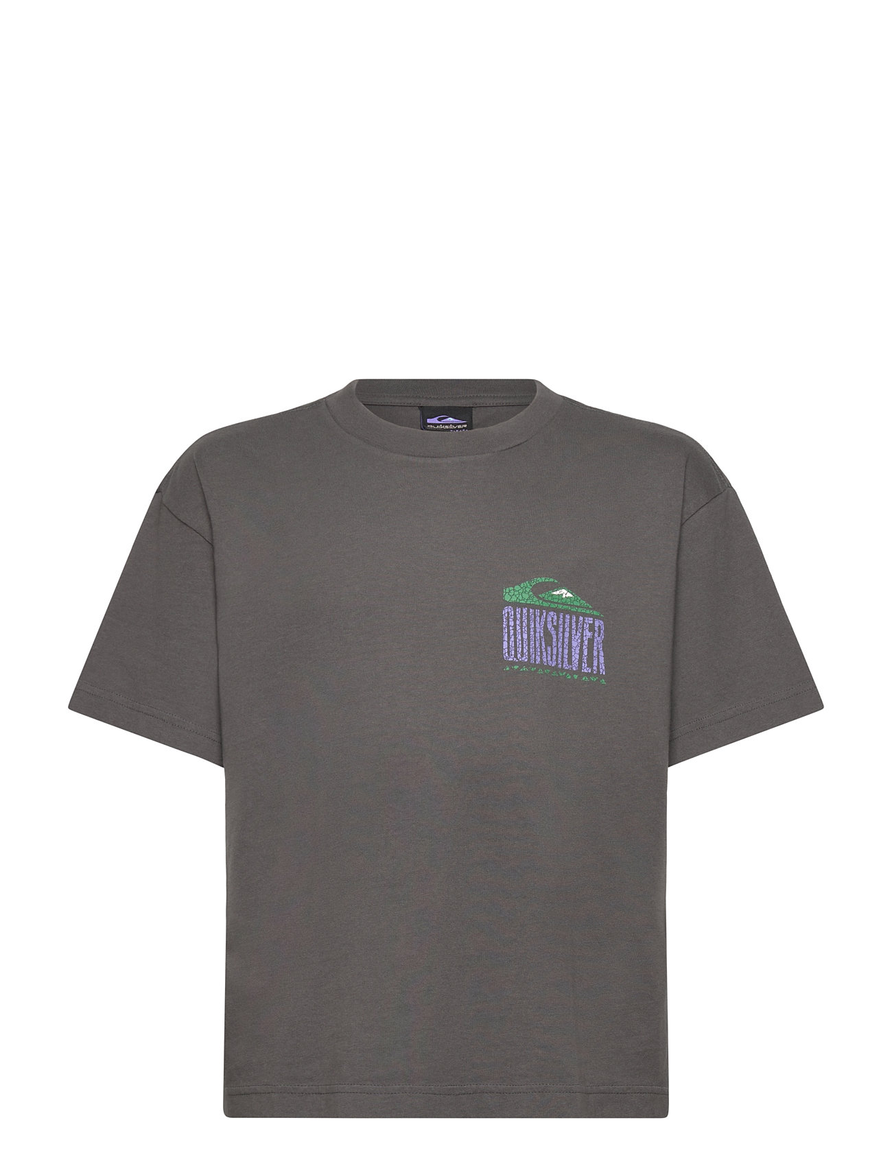 QUIKSILVER Gh Qs World Force Ss Yth Grau - 176 - Kinder