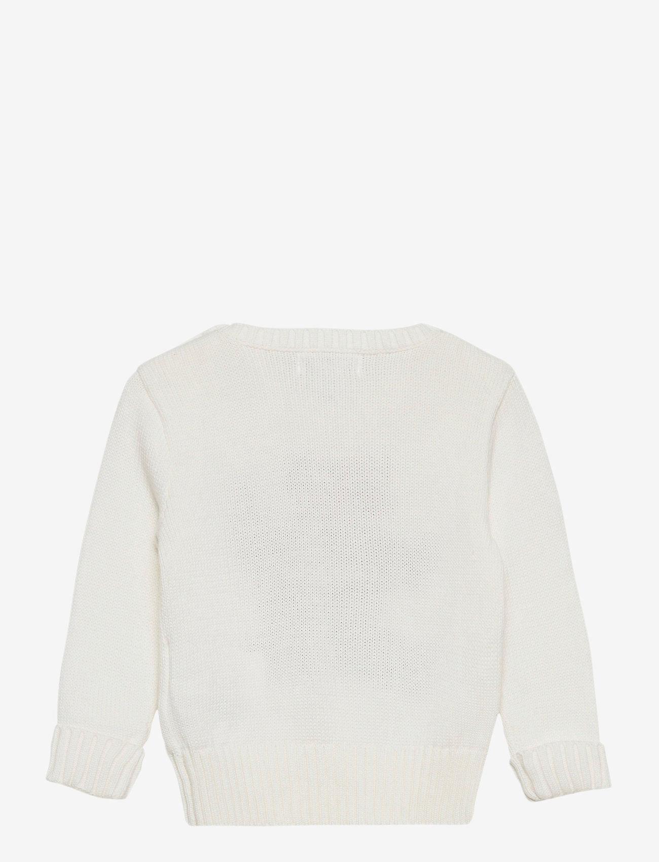 baby polo bear sweater