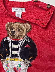 Ralph Lauren Baby - Polo Bear Cotton Sweater - jumpers - starboard red - 2