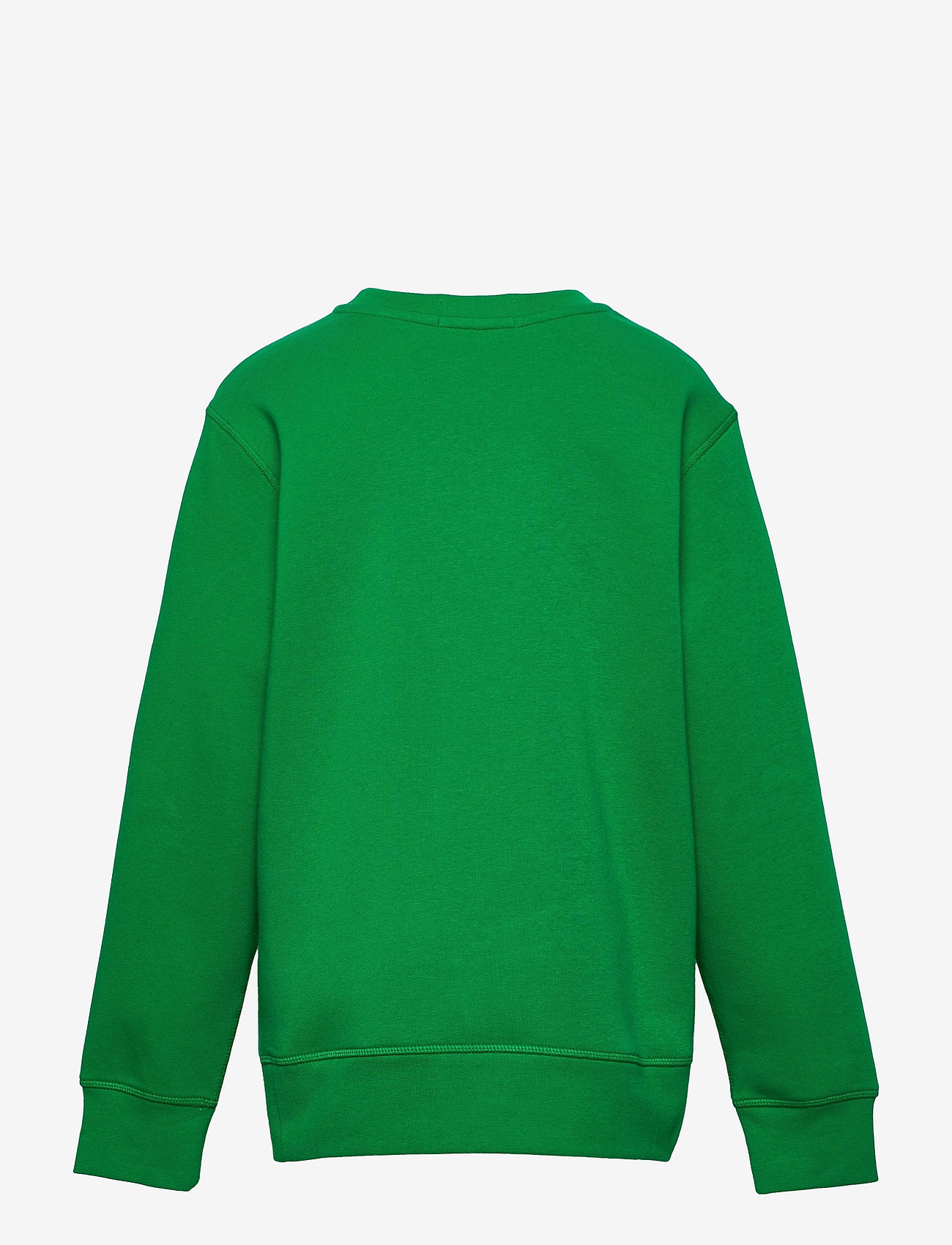 Ralph Lauren Kids - Polo Bear Fleece Sweatshirt - sweat-shirt - cruise green - 1