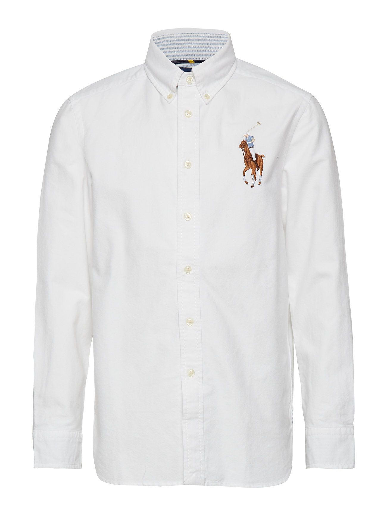 big pony cotton oxford shirt