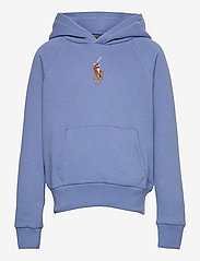 big pony fleece hoodie
