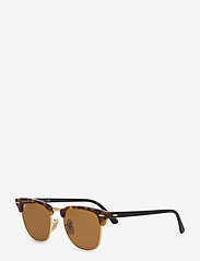 Ray-Ban - CLUBMASTER - d-kujulised - spotted brown havana-brown - 1