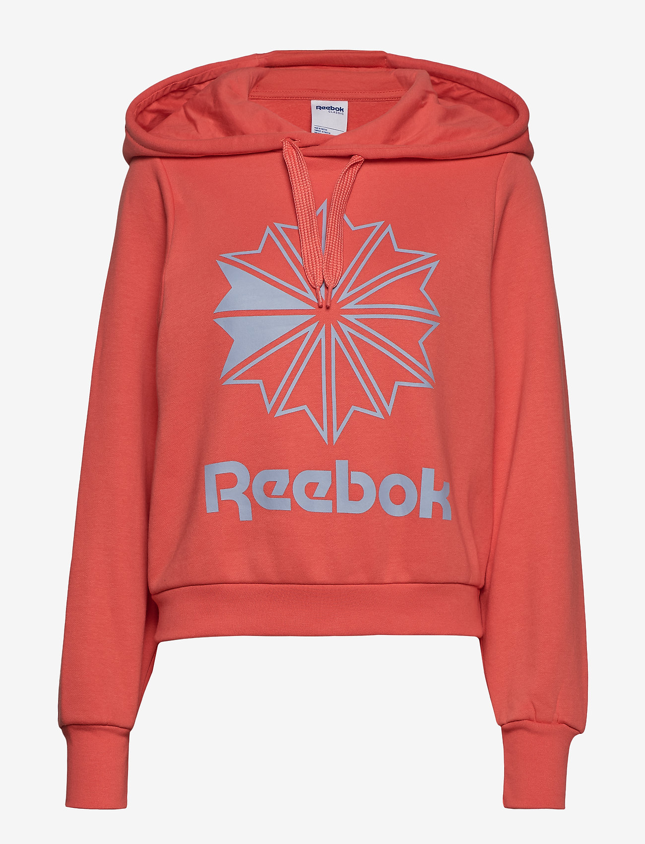 reebok classics big logo hoodie