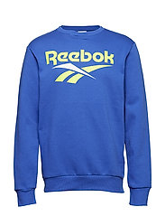 reebok classics jumper