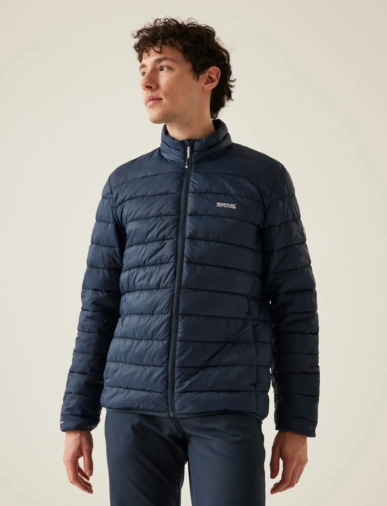 Regatta Marizion, L, Navy, Sport Jackets > Sport Padded Jackets, Herre