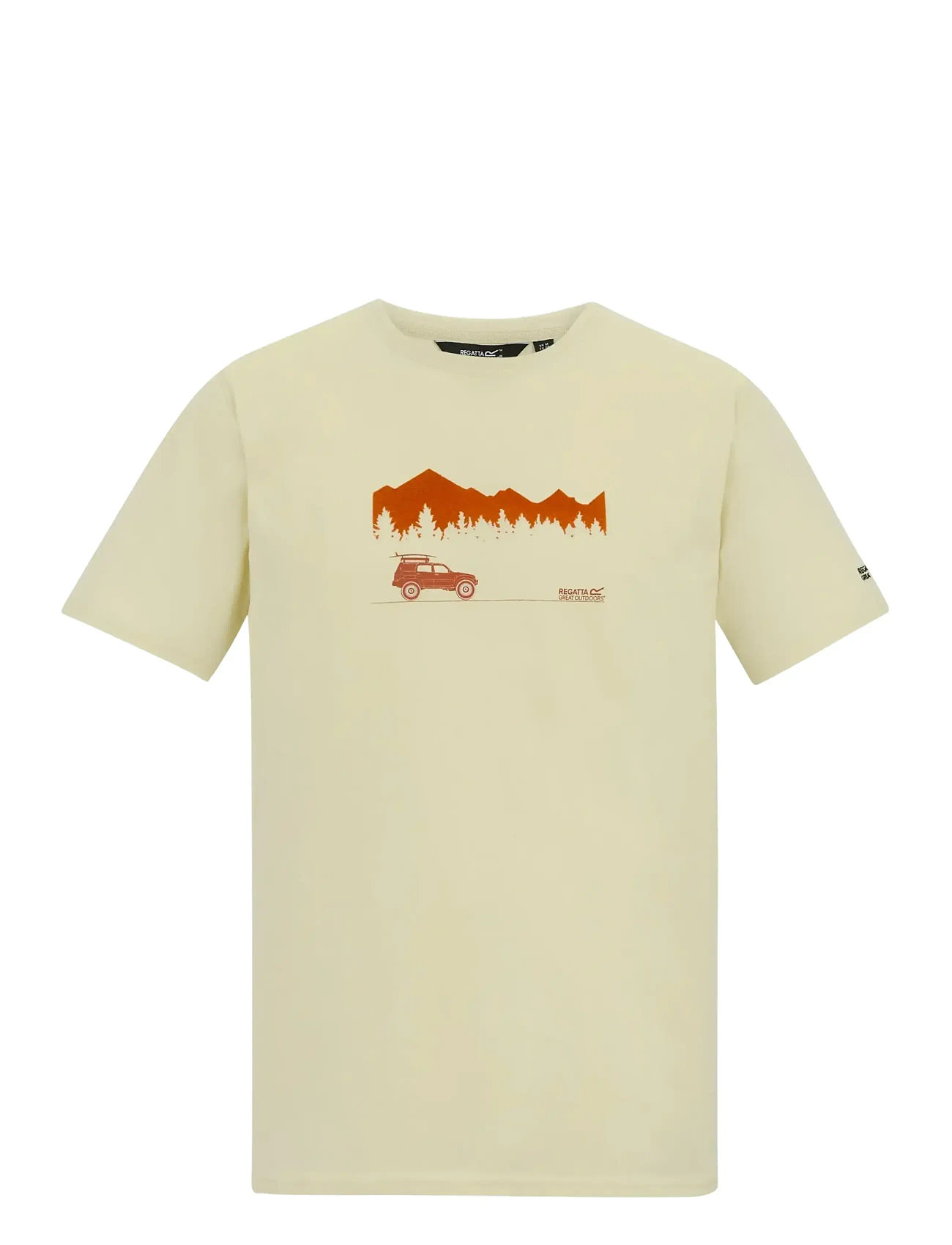 REGATTA Cline Ix Cream - L - Herren