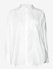 Cotton Poplin Pleated Back Shirt