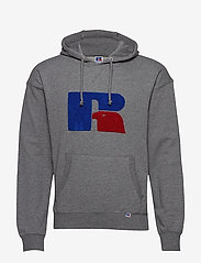 russell mike chenille hoodie