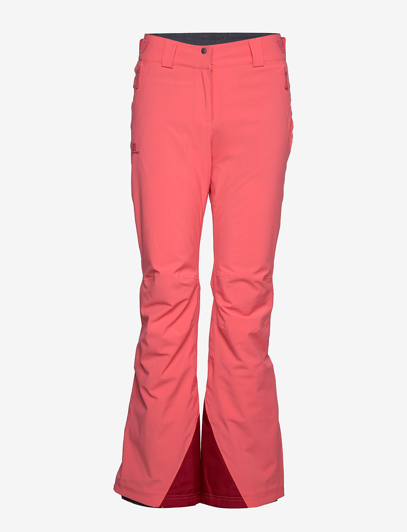 icemania pant salomon