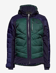 salomon iceshelf jkt m