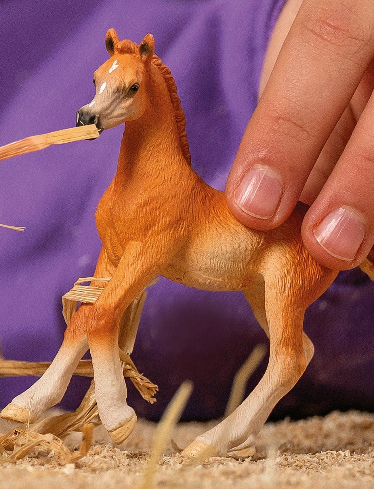 Schleich Schleich Arab Foal, One Size, Multi/patterned, Legesæt & Actionfigurer > Dyr, Børn