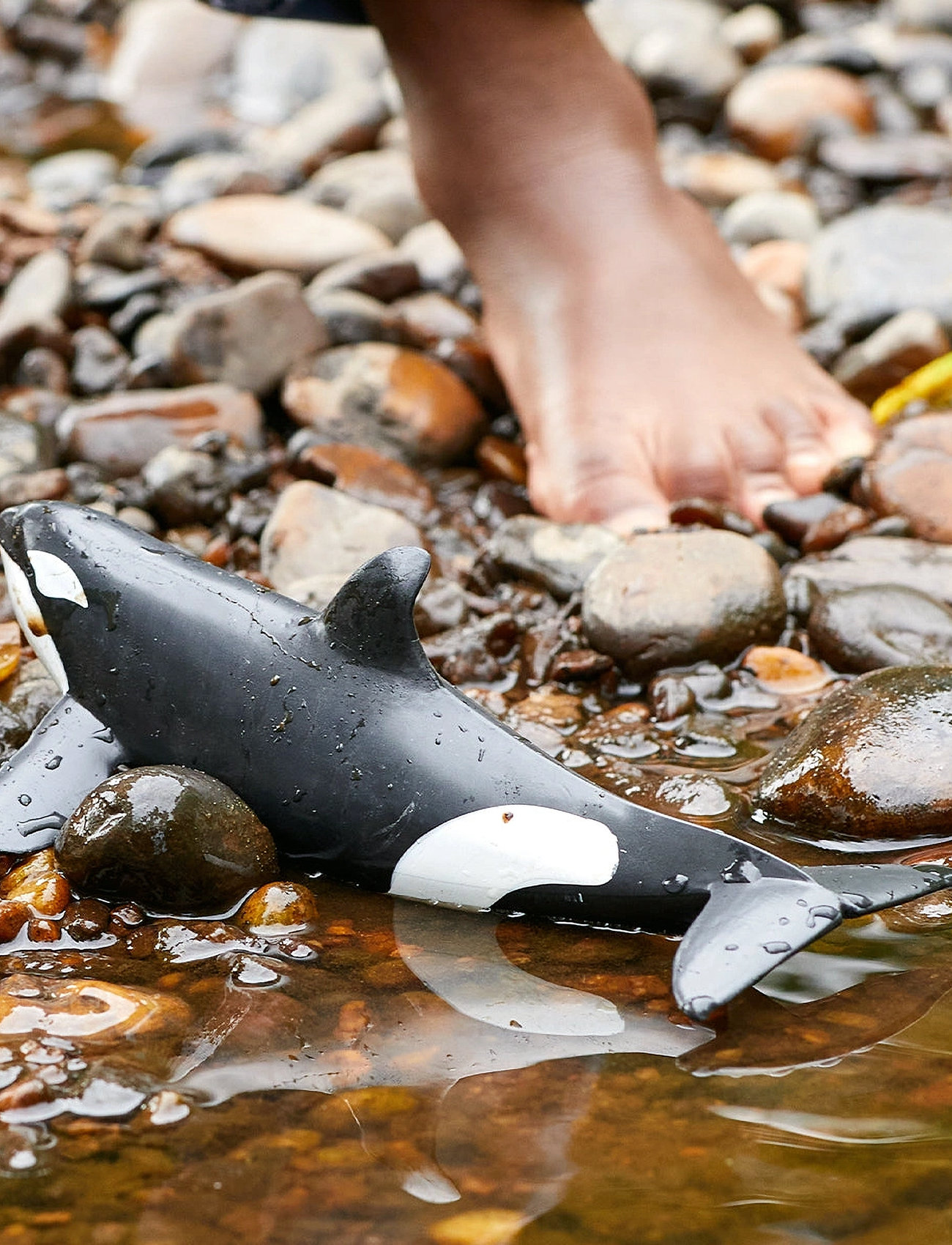 Schleich Schleich Killer Whale, One Size, Multi/patterned, Legesæt & Actionfigurer > Dyr, Børn