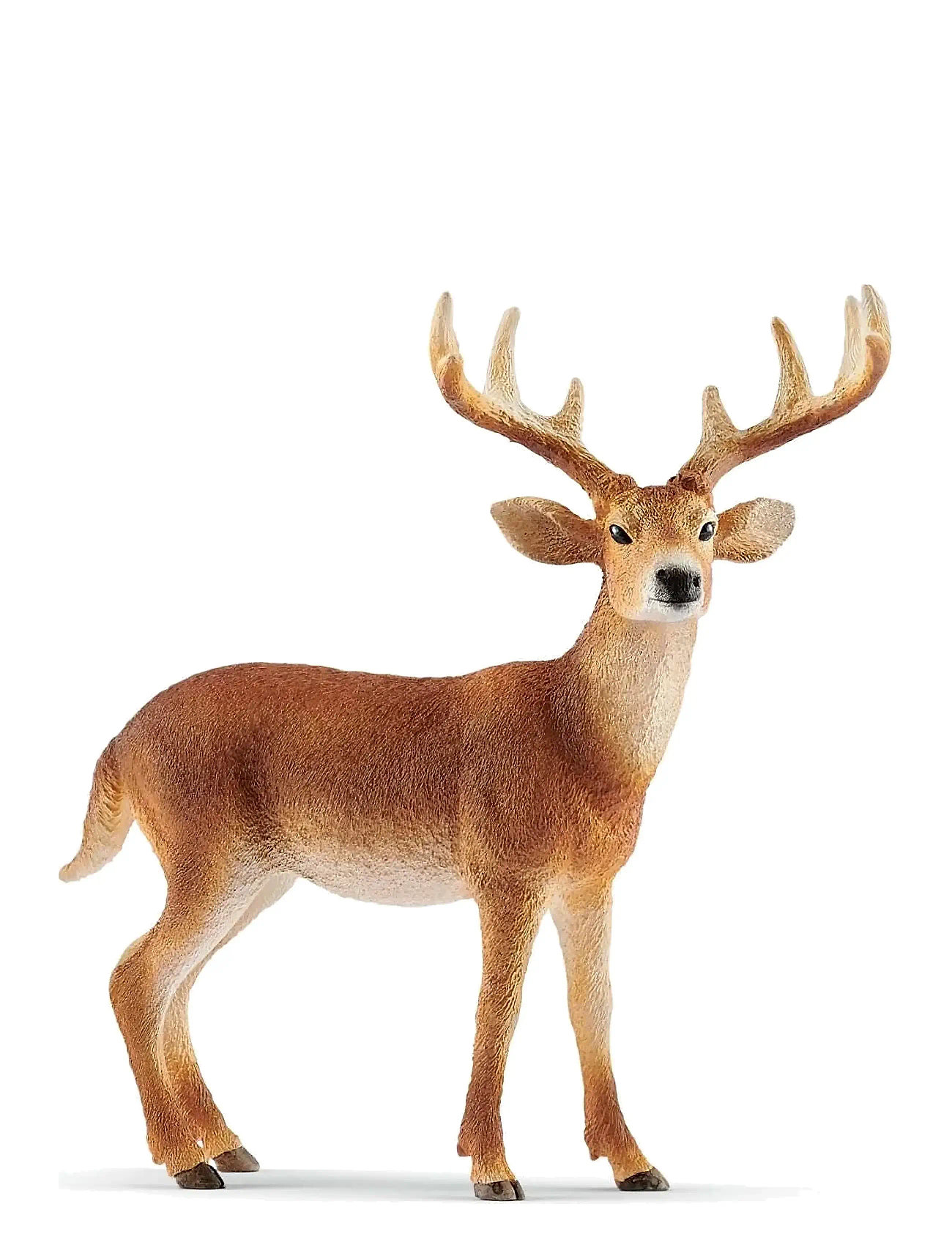 Schleich White-Tailed Buck Toys Playsets & Action Figures Animals Orange Schleich