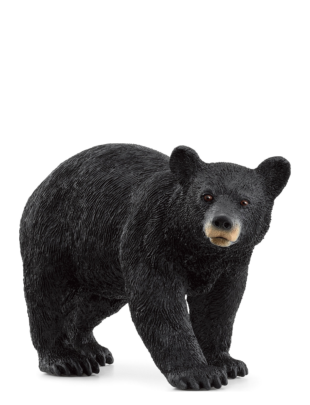 Schleich American Black Bear Toys Playsets & Action Figures Animals Multi/patterned Schleich