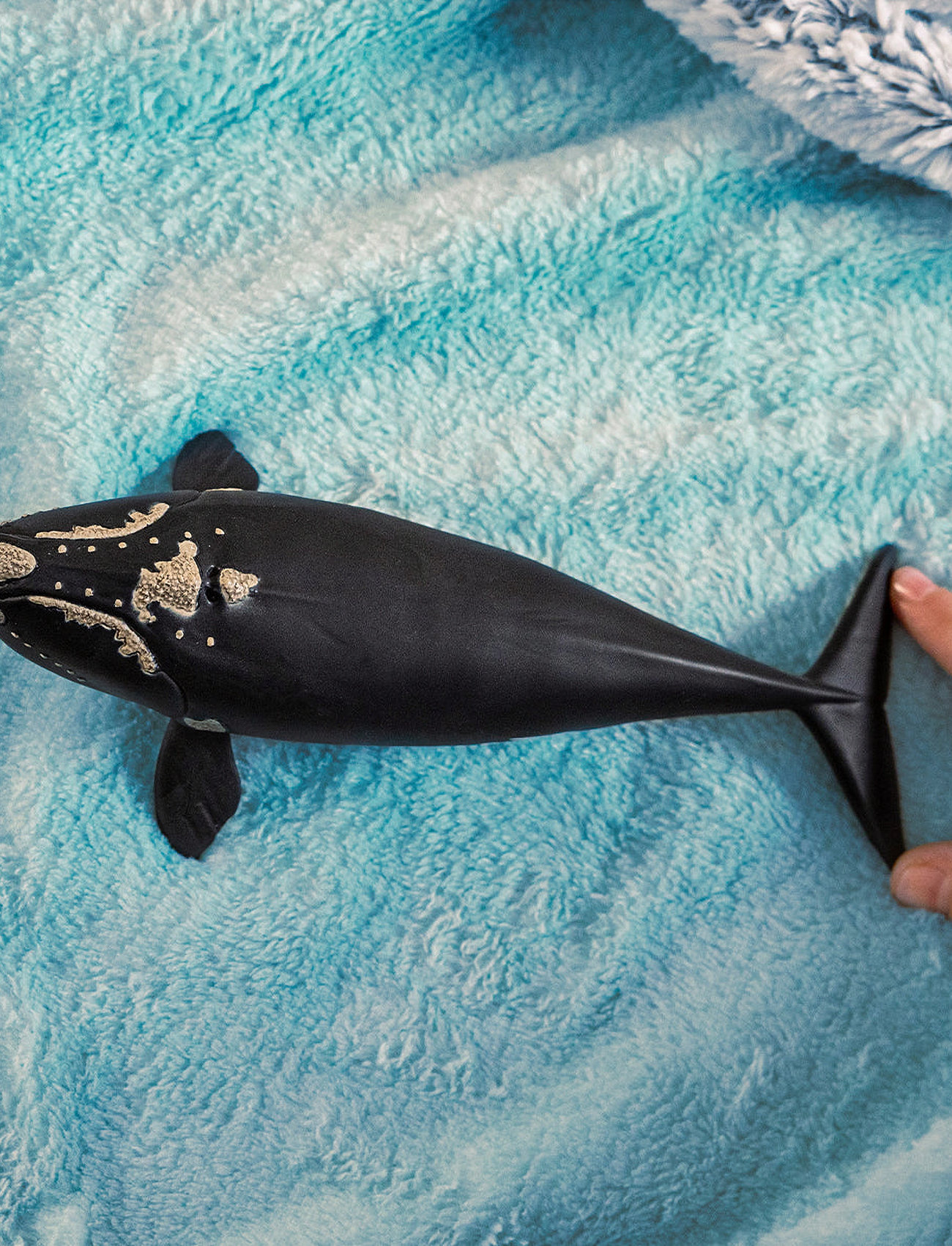 Schleich Schleich North Atlantic Right Whale, One Size, Black, Legesæt & Actionfigurer > Dyr, Børn