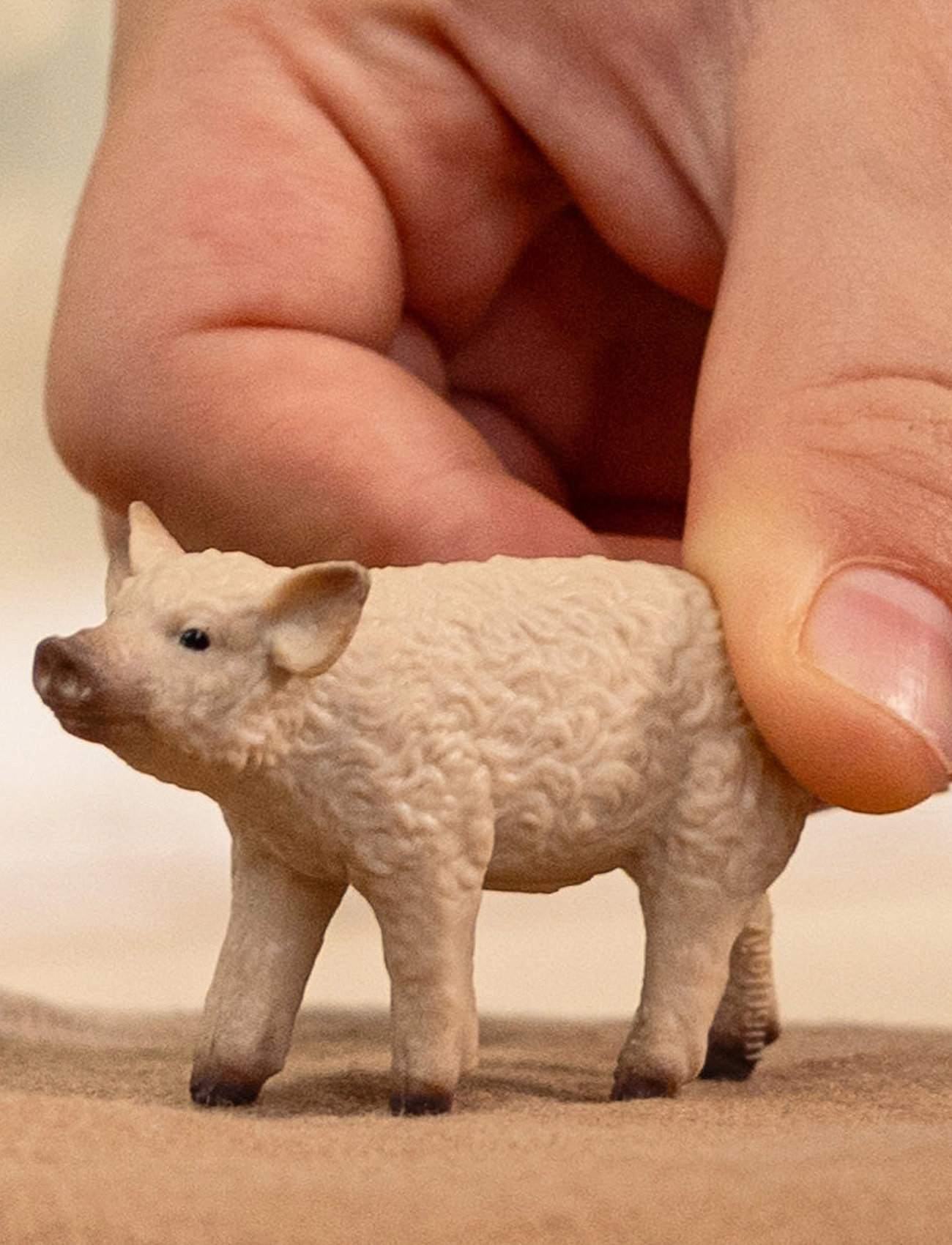 Schleich Schleich Mangalica Piglet, One Size, Beige, Legesæt & Actionfigurer > Dyr, Børn