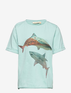 SGJaden Sharks ss tee - t-shirt à manches courtes avec motif - canal blue