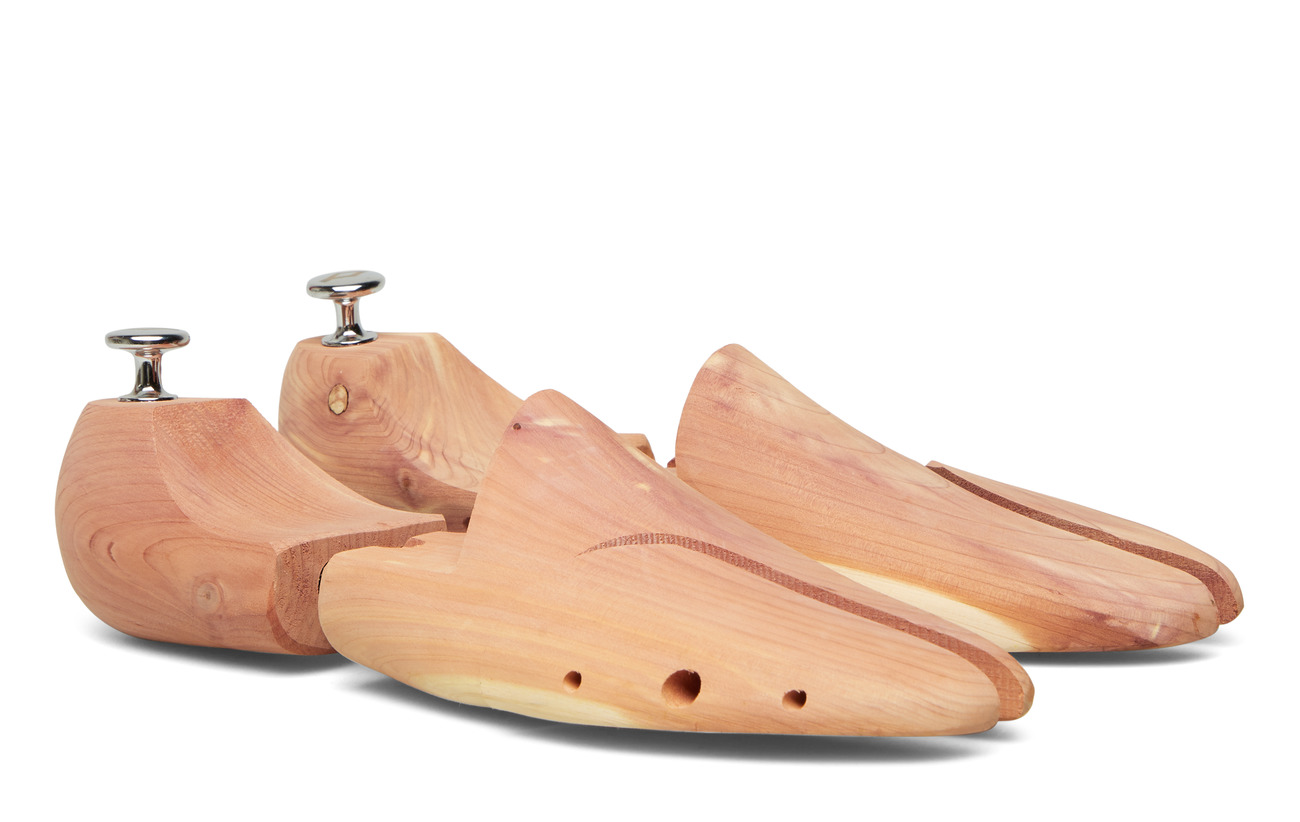 Tree LondonnatureSpringyard Tree Shoe Shoe Shoe Tree LondonnatureSpringyard KclTF1J