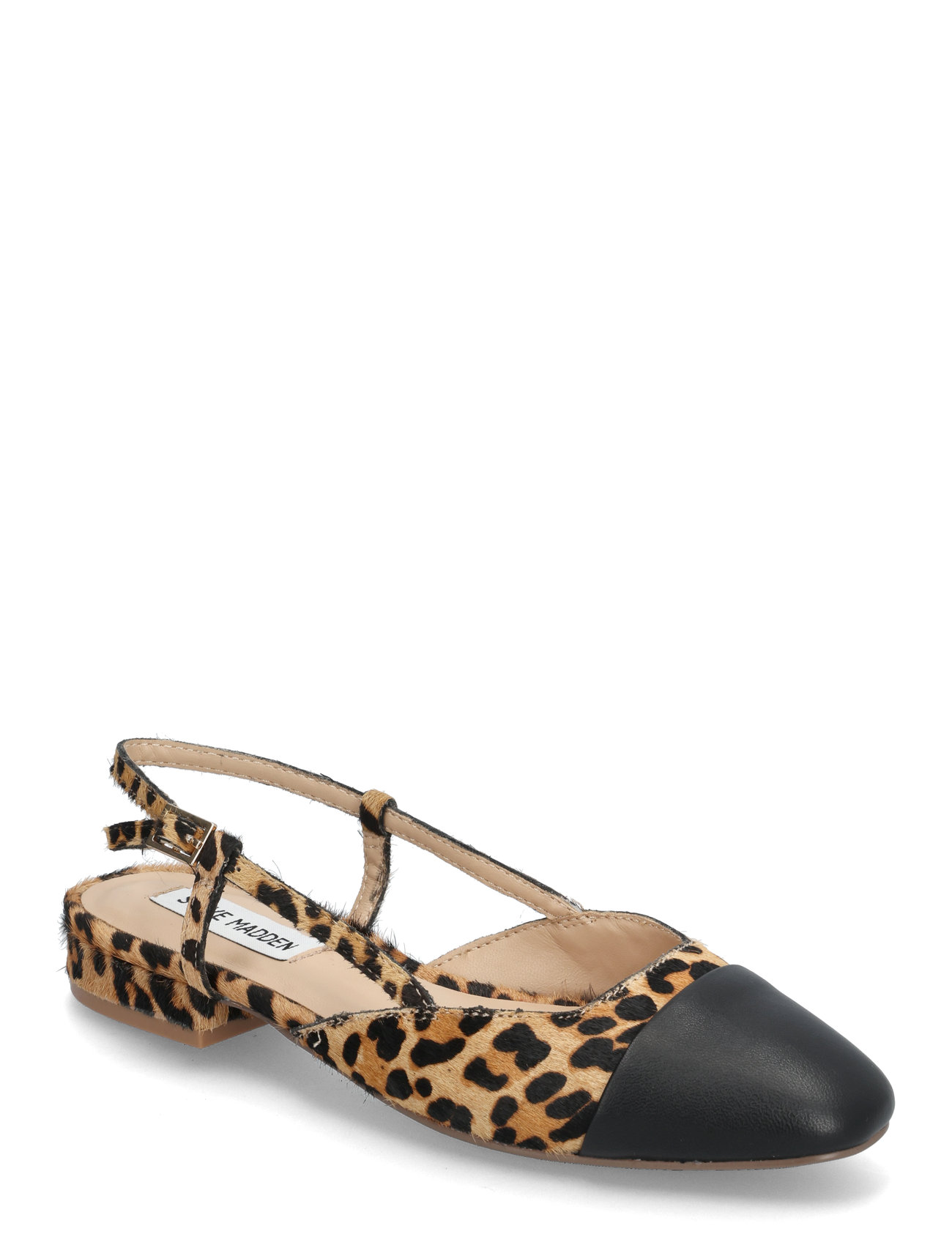 Steve Madden Belinda-L Ballerina, 40, Black, Sko > Ballerinaer, Dame