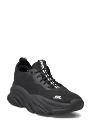 stepy　ババ+ダダ AVHBU40364 | Dąb karmelowy botaniczny