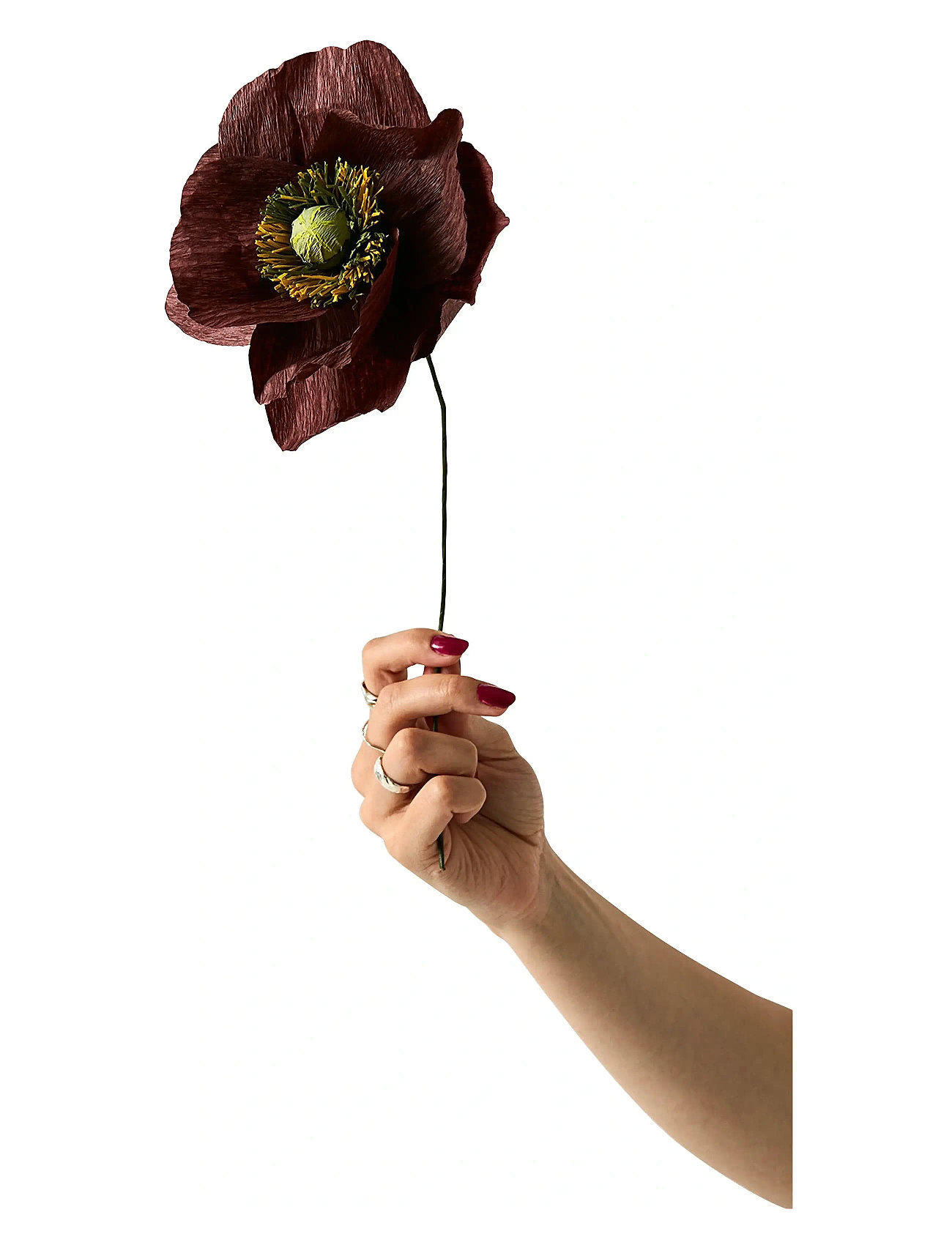 STUDIO ABOUT Paper Flower, Papaver, Braun Braun - 12X40CM - Unisex