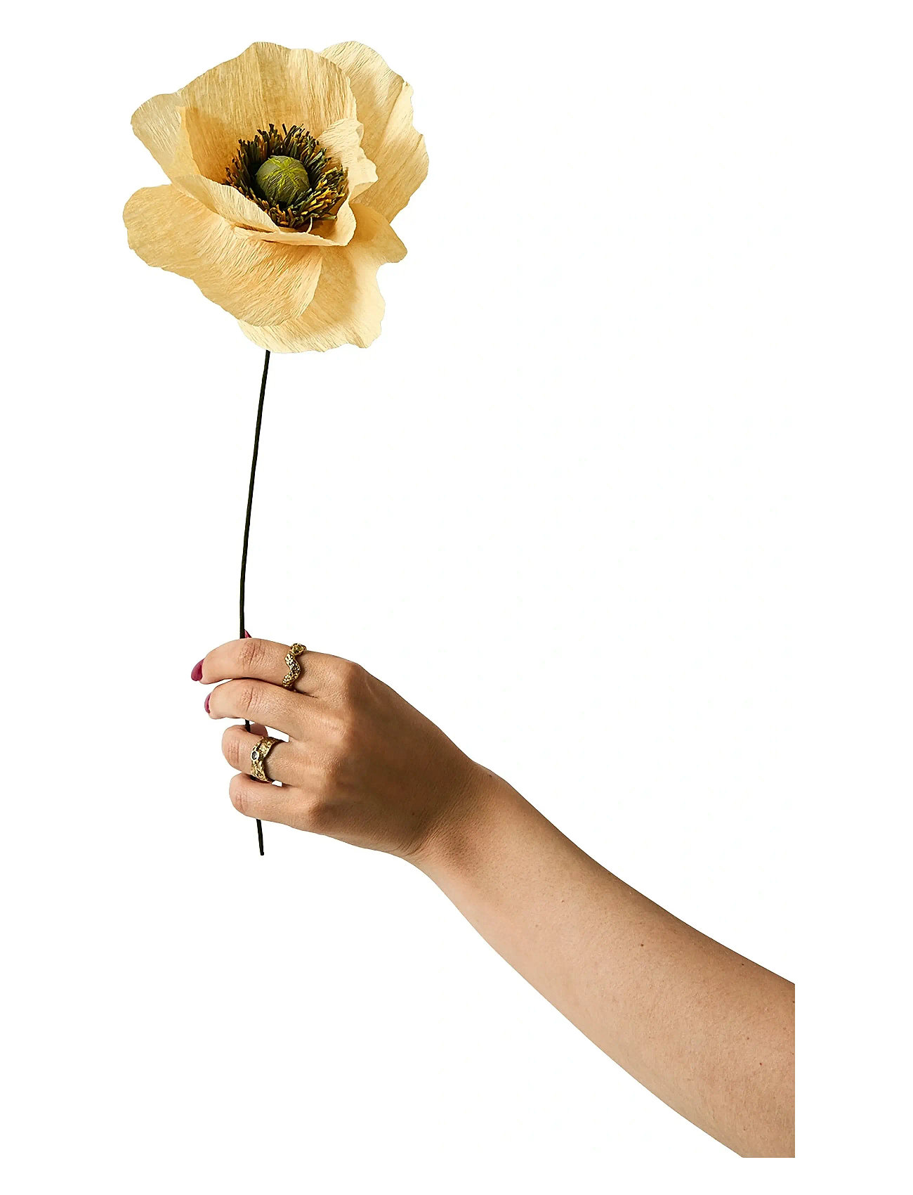 STUDIO ABOUT Paper Flower, Papaver, Soft Peach Beige - 12X40CM - Unisex