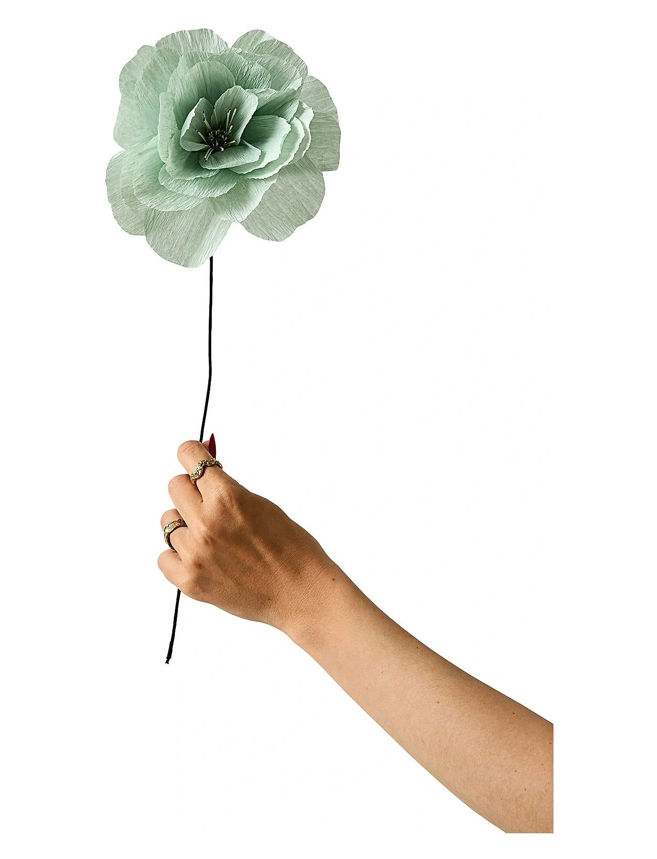 STUDIO ABOUT Paper Flower, Rosa La Paloma Grande, Mint Grün - 12X45CM - Unisex