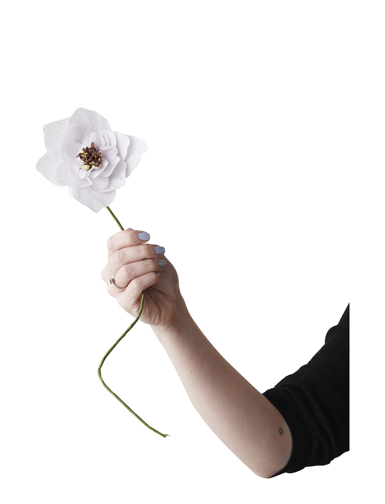 Paper Flower Purple Studio About