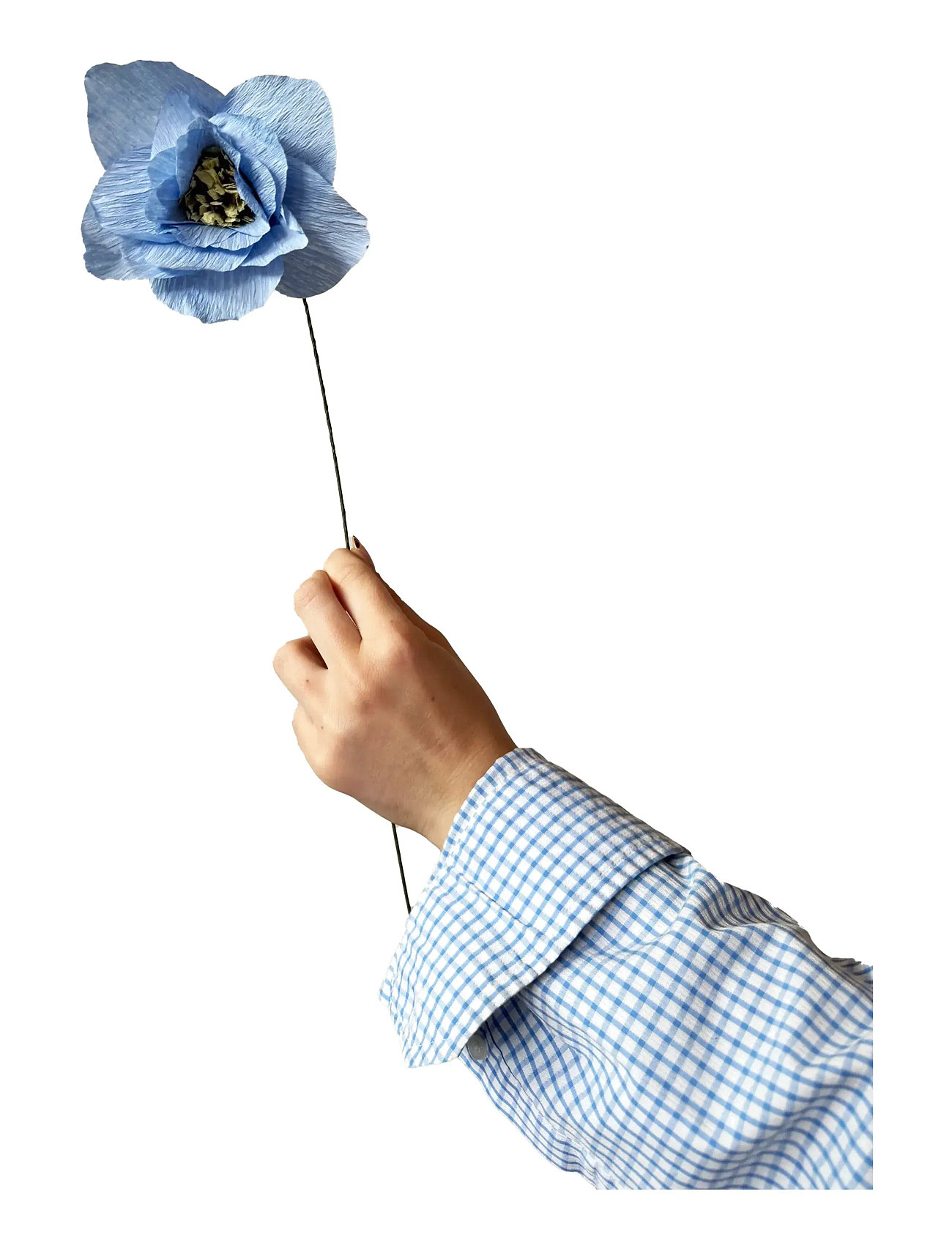 STUDIO ABOUT Paper Flower, Poppy, Hell Blau Blau - 13X43CM - Unisex