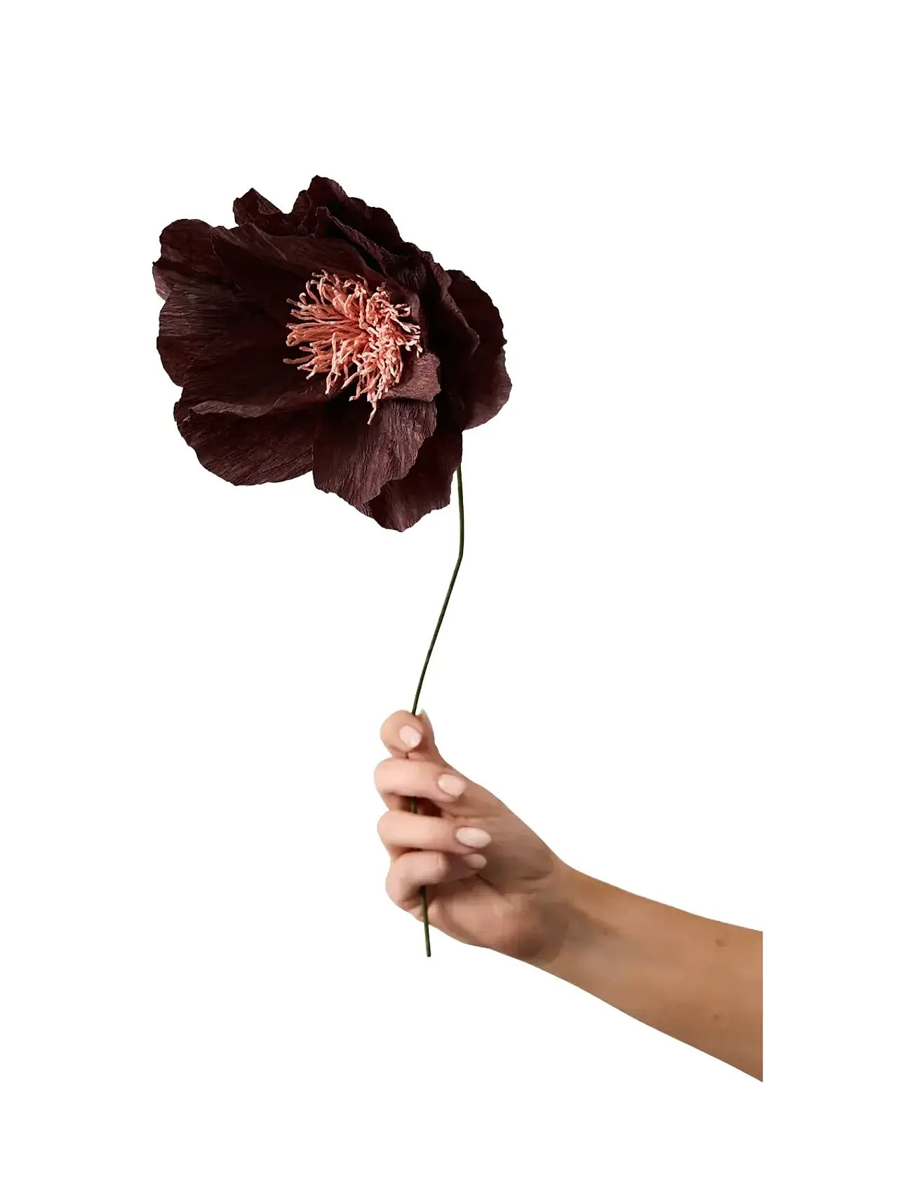 STUDIO ABOUT Paper Flower Burgundy - One Size - Unisex
