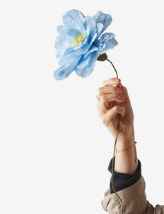 PAPER FLOWER - getrocknete blumen - blue