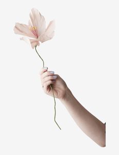 PAPER FLOWER - suszone kwiaty - rose