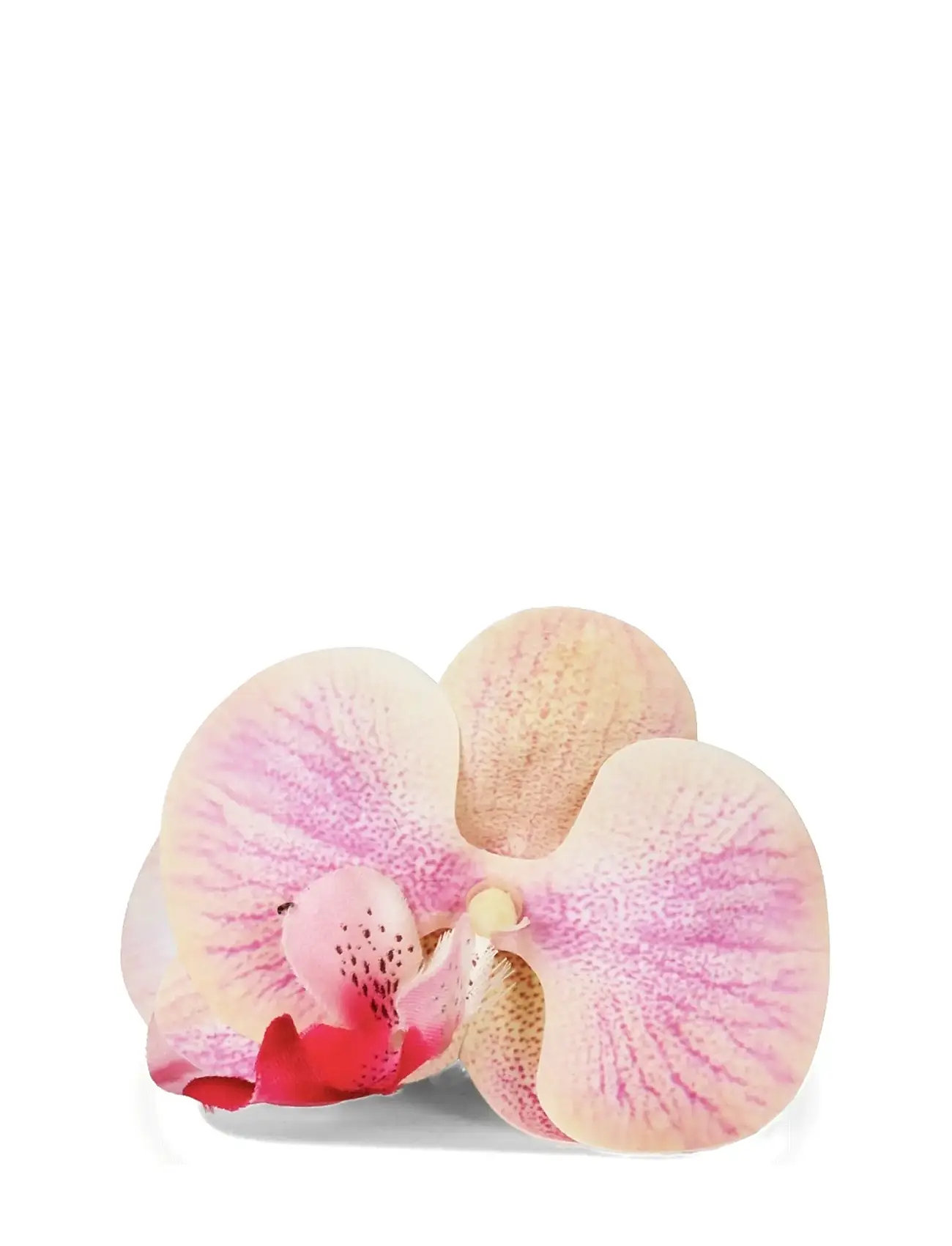 SUI AVA Orchid Middle Pink - One Size - Damen