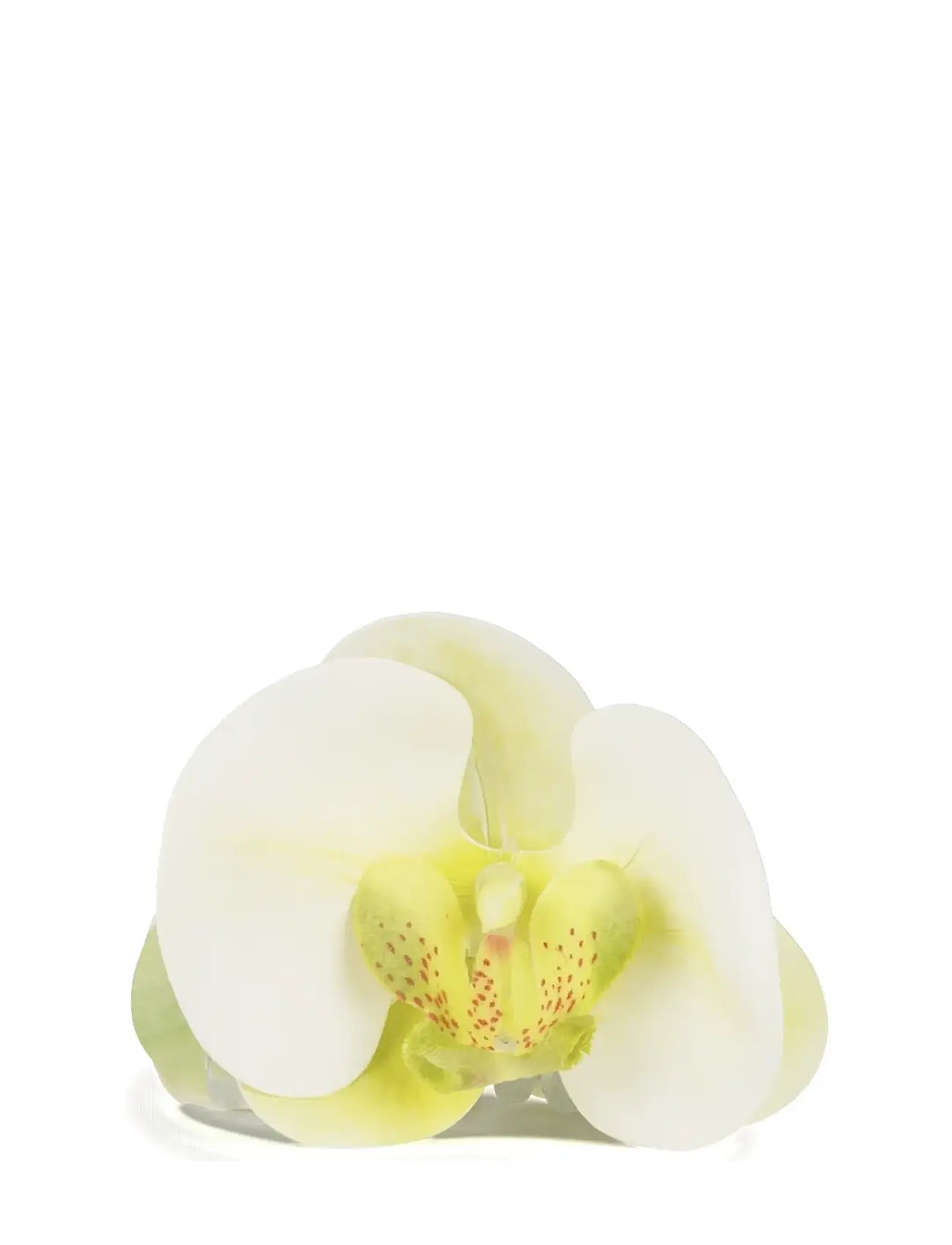SUI AVA Orchid Middle Cream - One Size - Damen