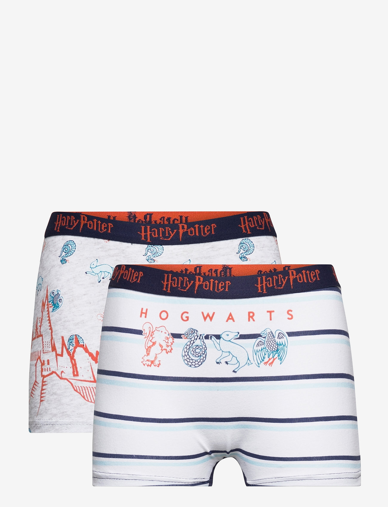Harry Potter - SET 2 BOXERS - socks & underwear - grey - 0