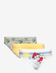 Paw Patrol - POCKET 3 BRIEFS - socks & underwear - multicoloured - 0