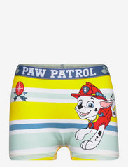 Paw Patrol - SET 2 BOXERS - socks & underwear - yellow - 2