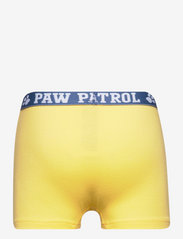 Paw Patrol - SET 2 BOXERS - socks & underwear - yellow - 3