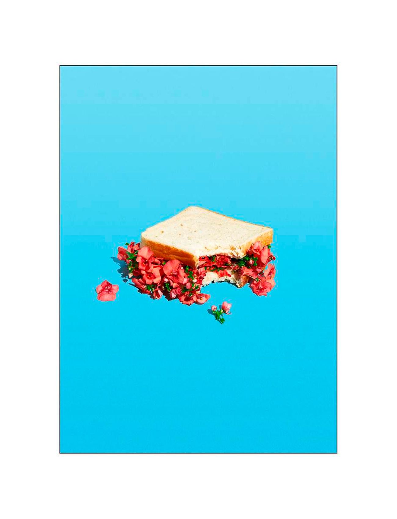 Supermercat Flower Sandwich Multi/patterned