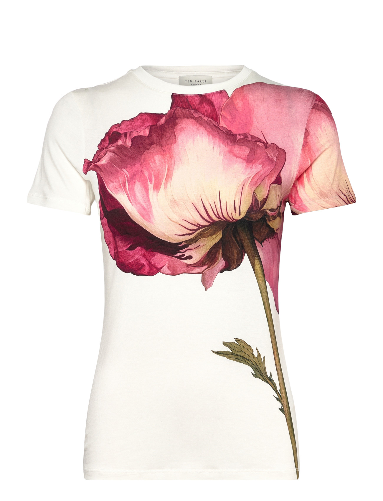 TED BAKER LONDON Obrey Cream - 36 - Damen