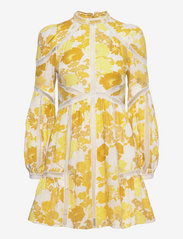 ted baker cornila dress