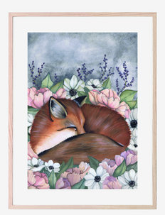 Poster Flower field fox 30x40 - dieren - multicolor