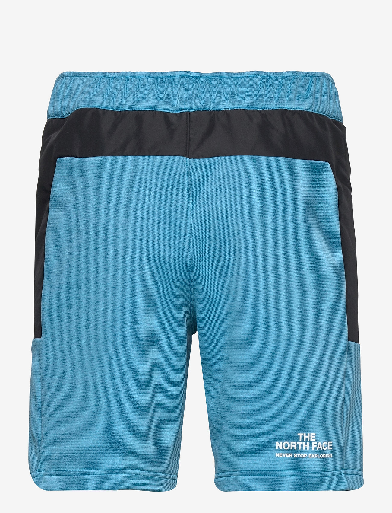 the north face blue shorts