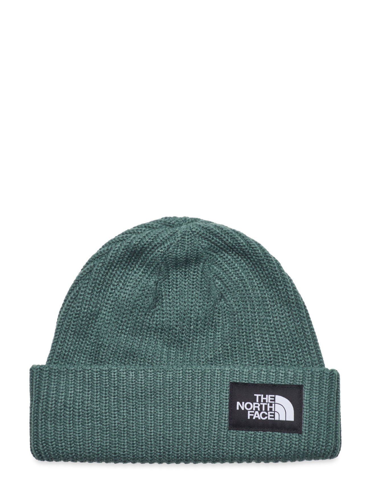 The North Face Salty Lined Beanie Grön