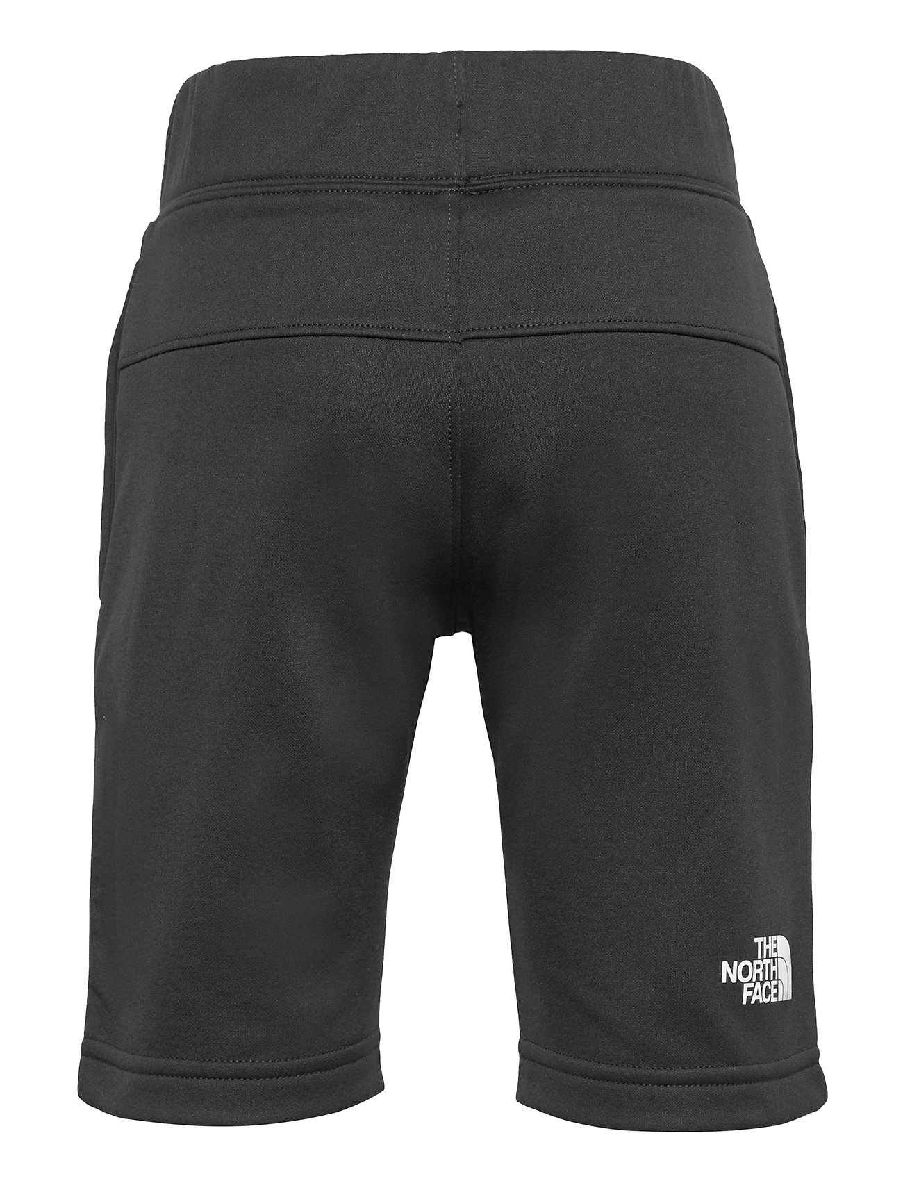 north face surgent shorts