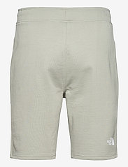 The North Face - M STAND SHORT LIGHT - tights & shorts - wrought iron - 1