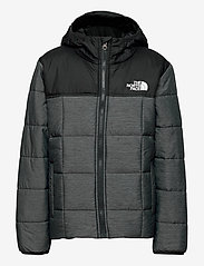 the north face b